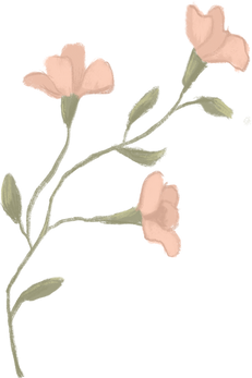 Pastel pink flower